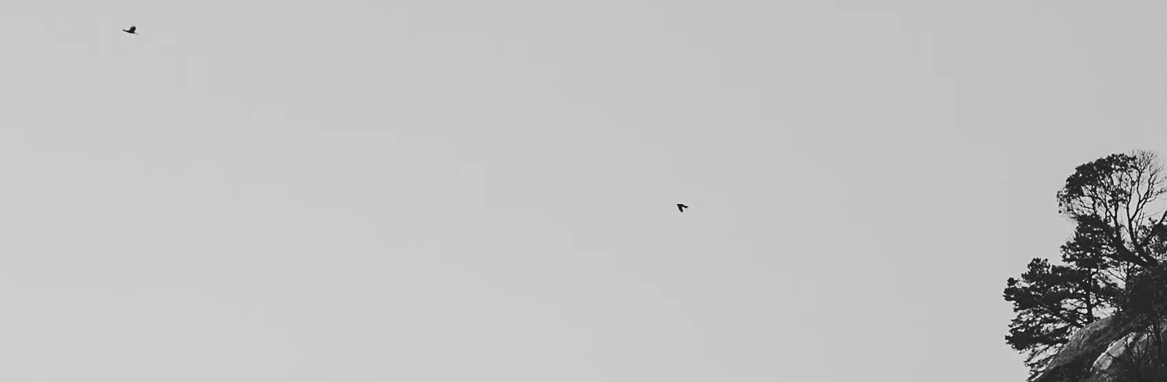 Spatial Study, Horizon & Stillness
