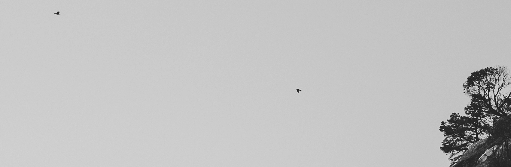 Spatial Study, Horizon & Stillness